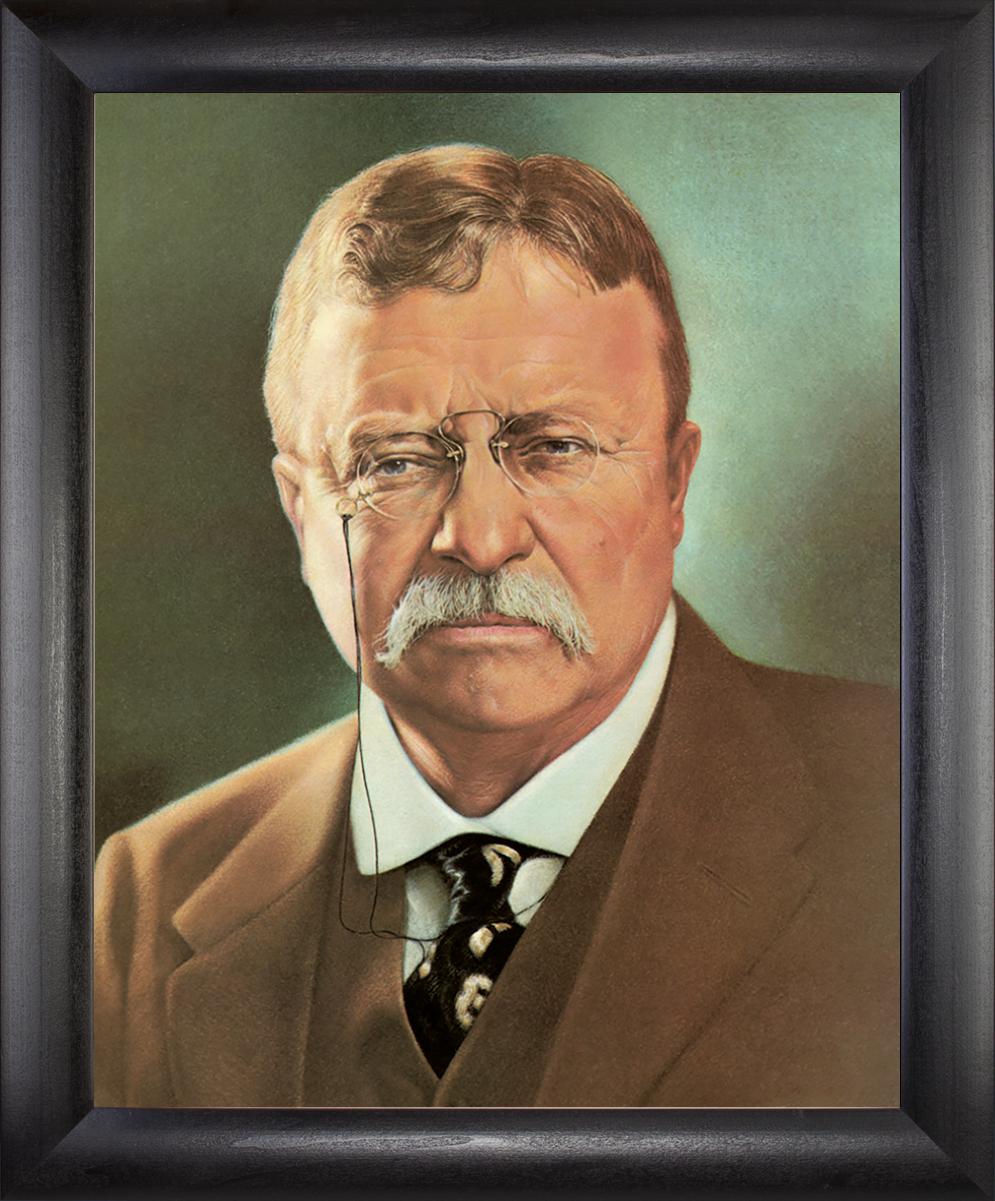 Theodore Roosevelt Beechdale Frames